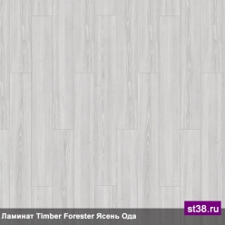  Tarkett  TIMBER FORESTER -   ( )